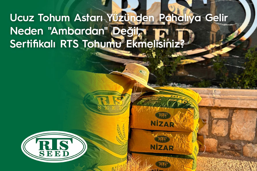 Ucuz Tohum Astarı Yüzünden Pahalıya Gelir: Neden "Ambardan" Değil, Sertifikalı RTS Tohumu Ekmelisiniz?