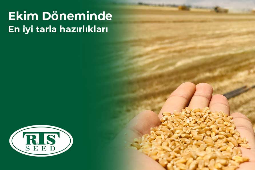 Ekim Döneminde En İyi Tarla Hazırlıkları