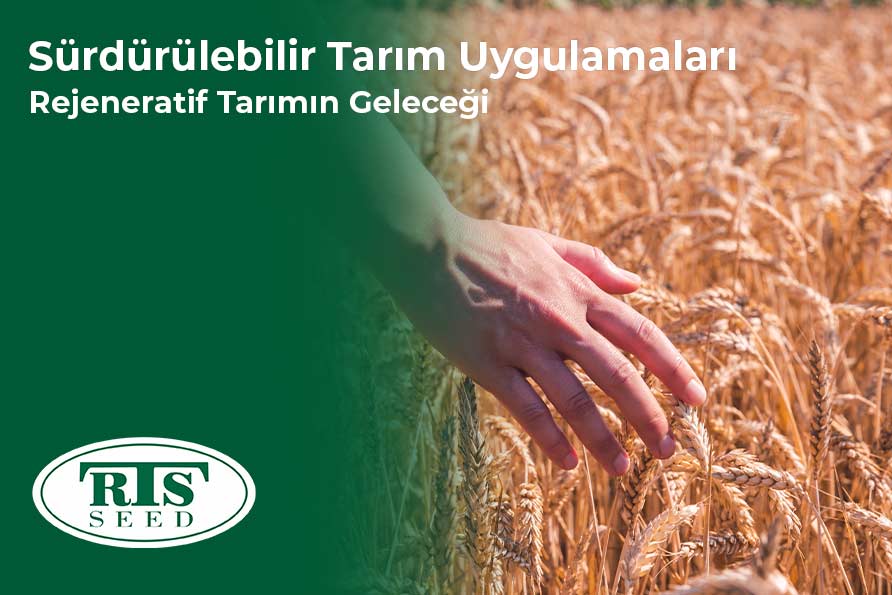 Sürdürülebilir Tarım Uygulamaları: Rejeneratif Tarımın Geleceği