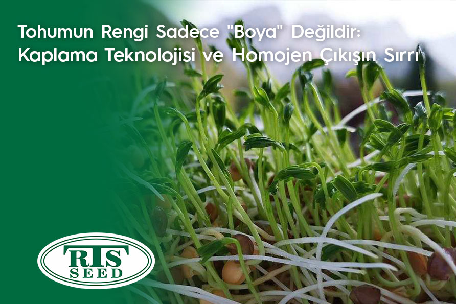 Tohumun Rengi Sadece "Boya" Değildir: Kaplama Teknolojisi ve Homojen Çıkışın Sırrı